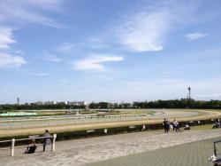 中山競馬場.JPG