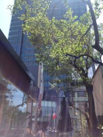 6.jpegのサムネール画像